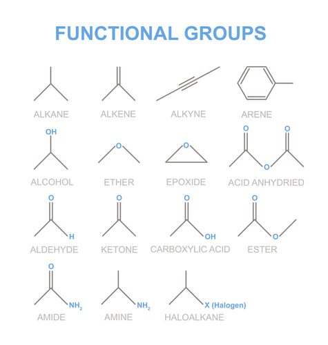 What Are Ketones Exactly? - Keto Science