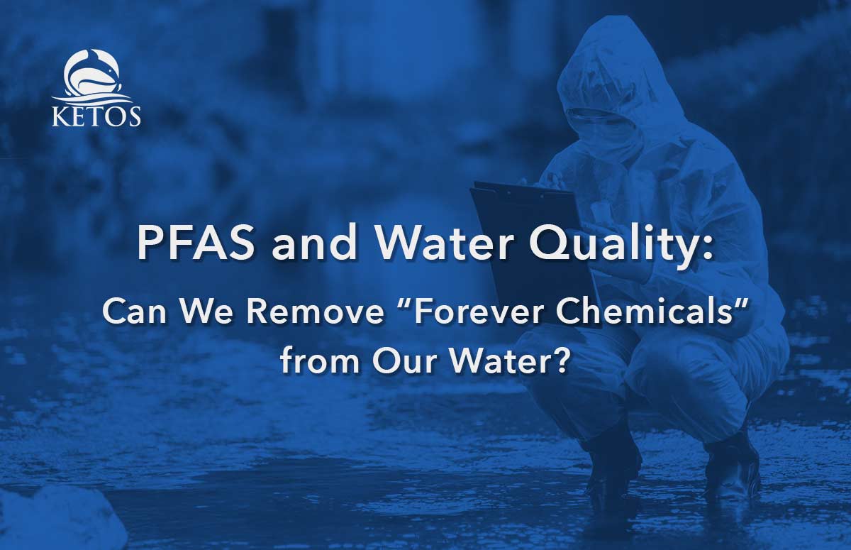 Can We Remove “Forever Chemicals” from Our Water?