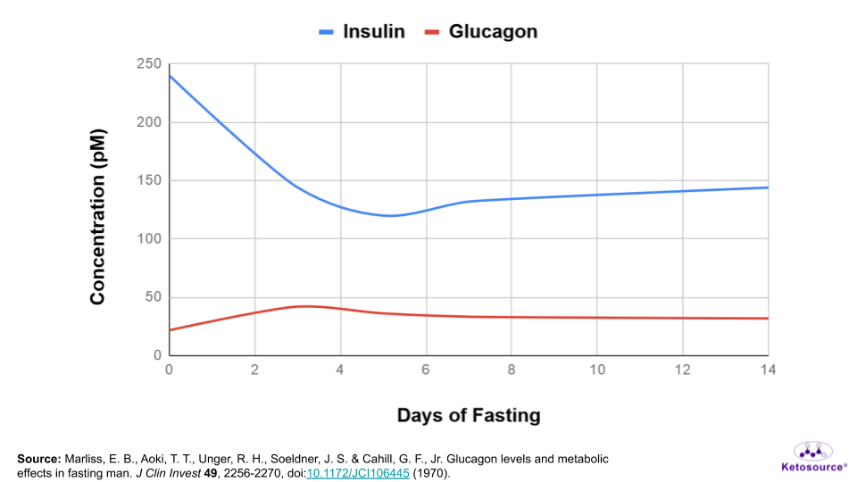 Fasting Methods How to Optimize for Your Goals (Part 1) Ketosource