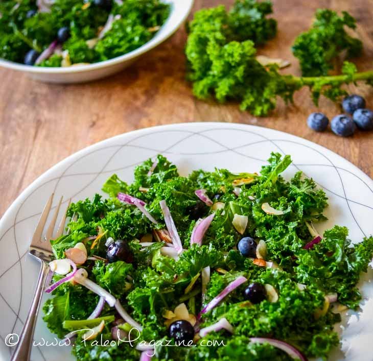 Keto Kale Blueberry Salad Recipe [Paleo, AIP, DairyFree] Keto Summit