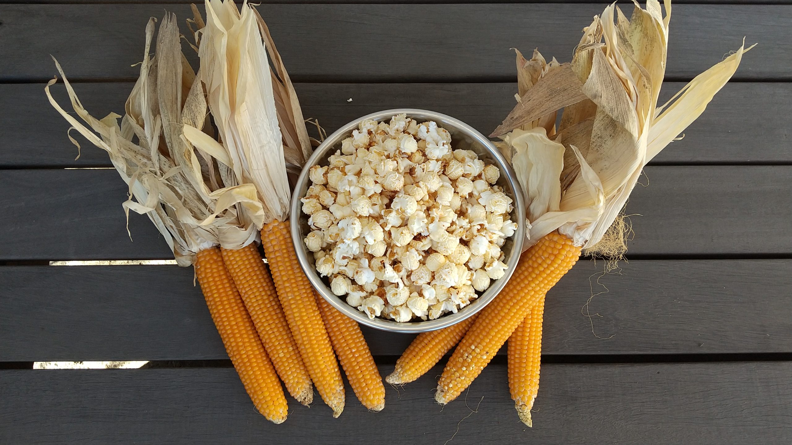 Kids Fun! 農家さんのケトルコーン