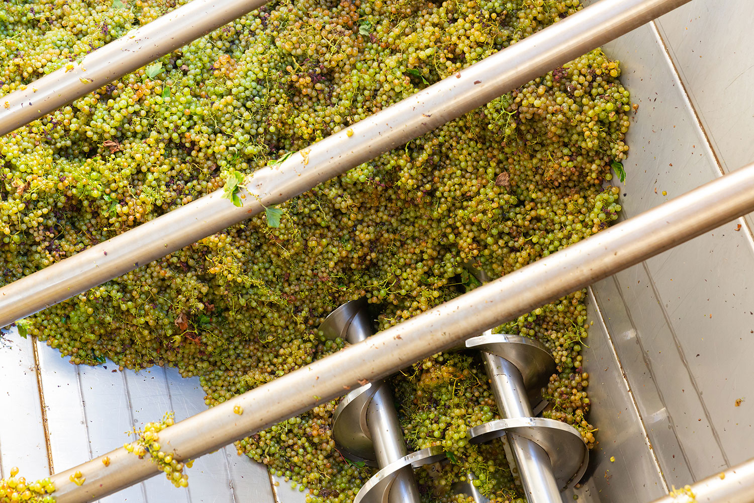 Cotherman Distilling at Alice Duncan blog