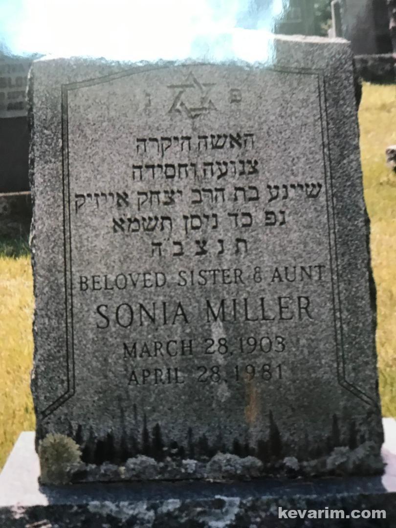 Devil zine Pictures Library