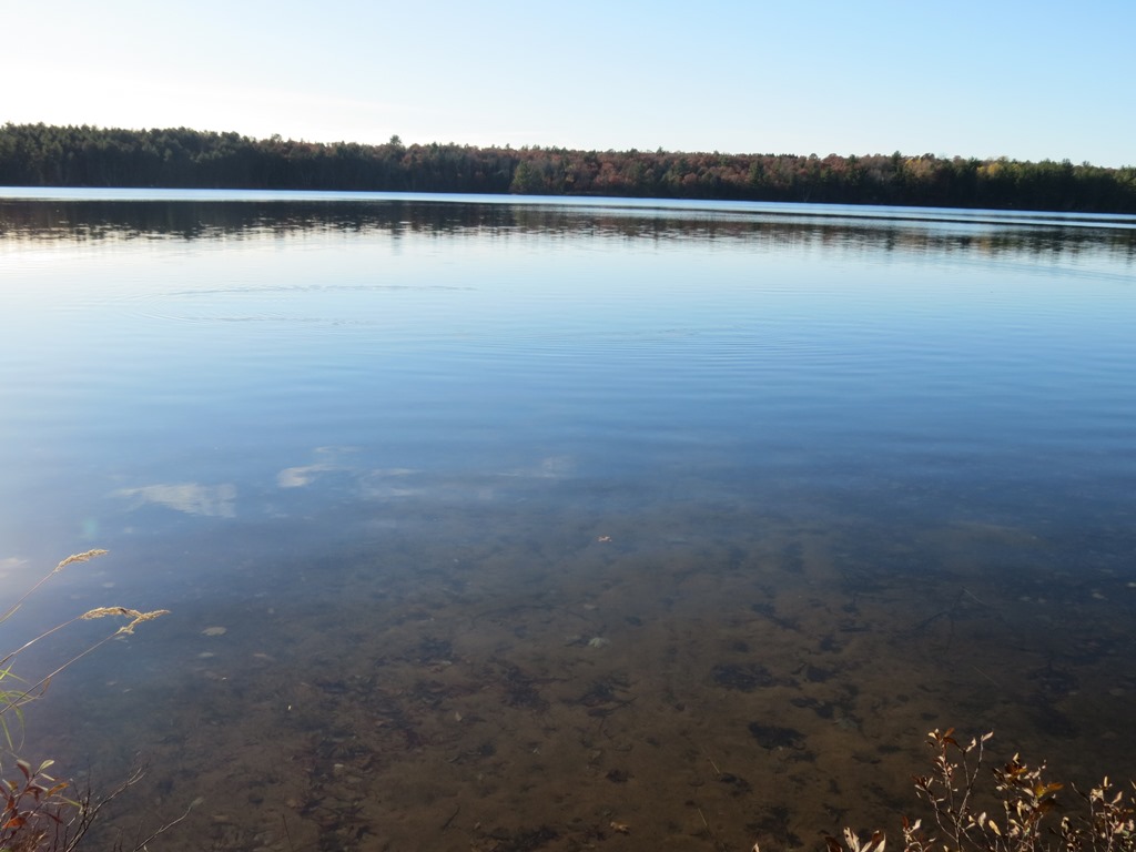 Kimball Lake Chain Kevin Brisky(Broker/Realtor) Lakewoods Real Estate