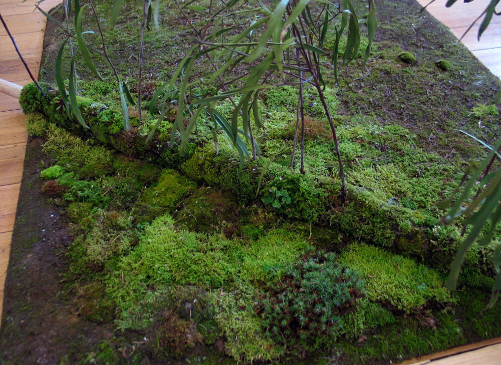 Fertile Ground Kevin Dagg