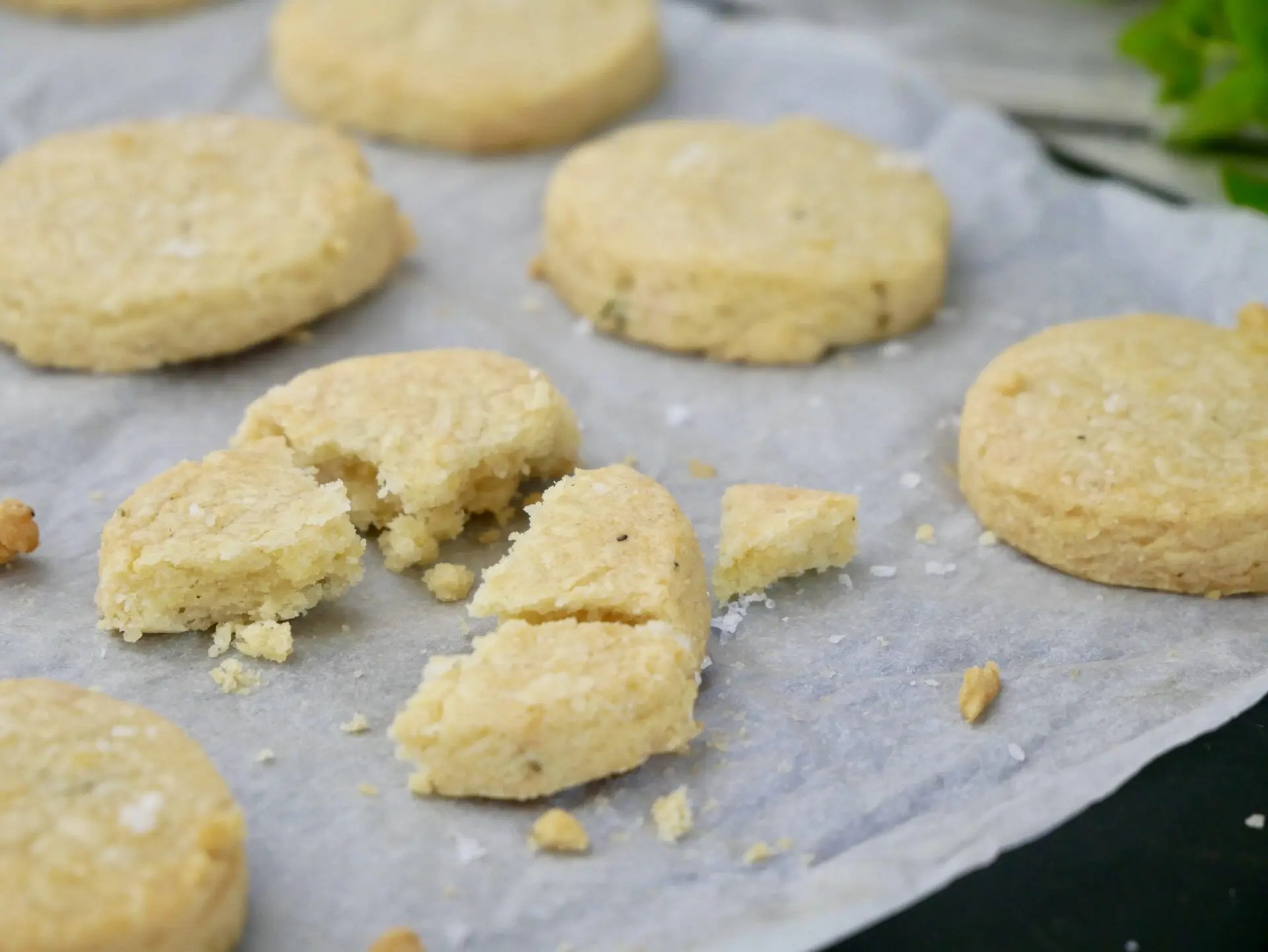 Parmesan cheese Biscuits Kevin Dundon online cookery courses