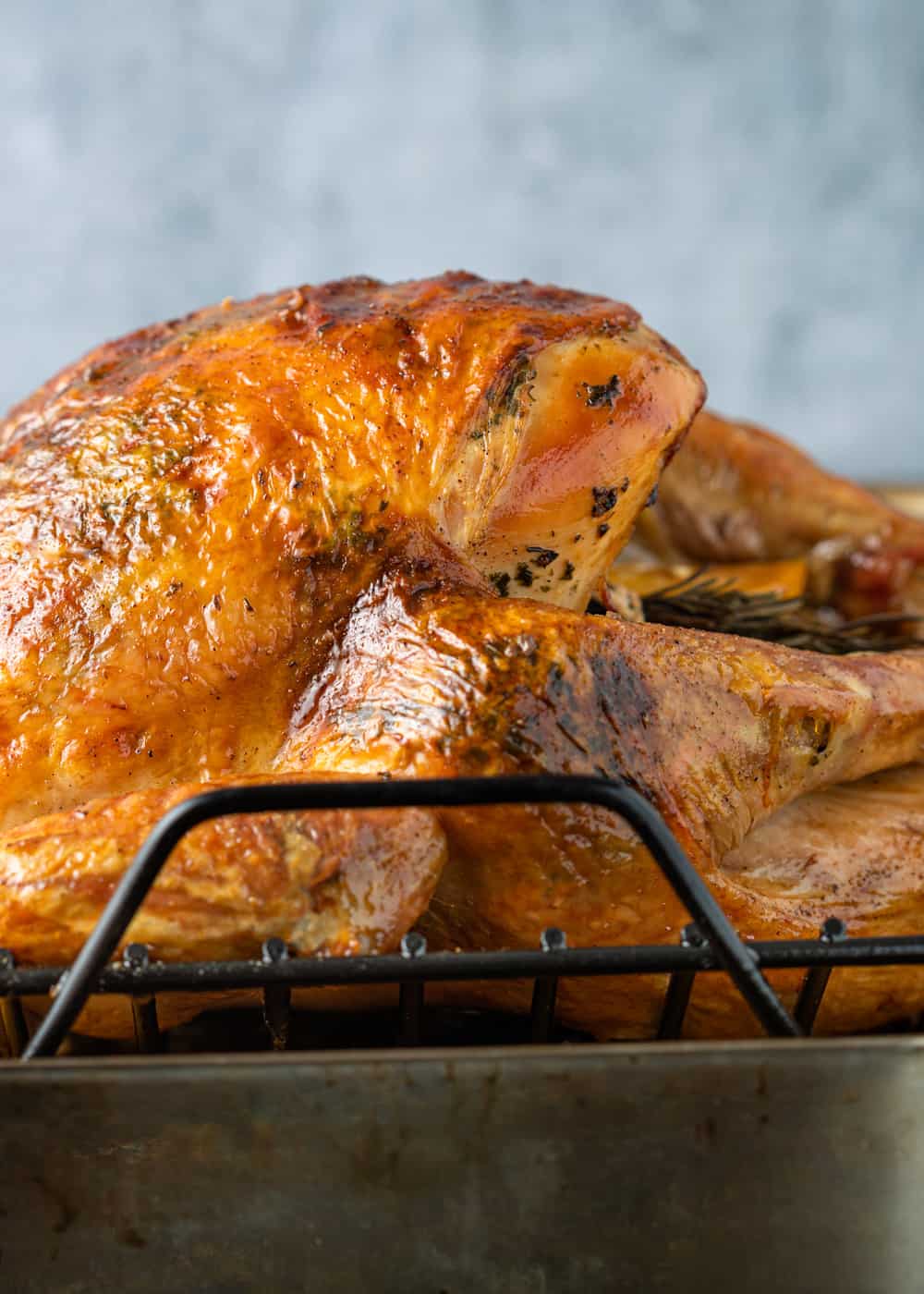Roasting and Carving a Turkey + Video Kevin Is Cooking