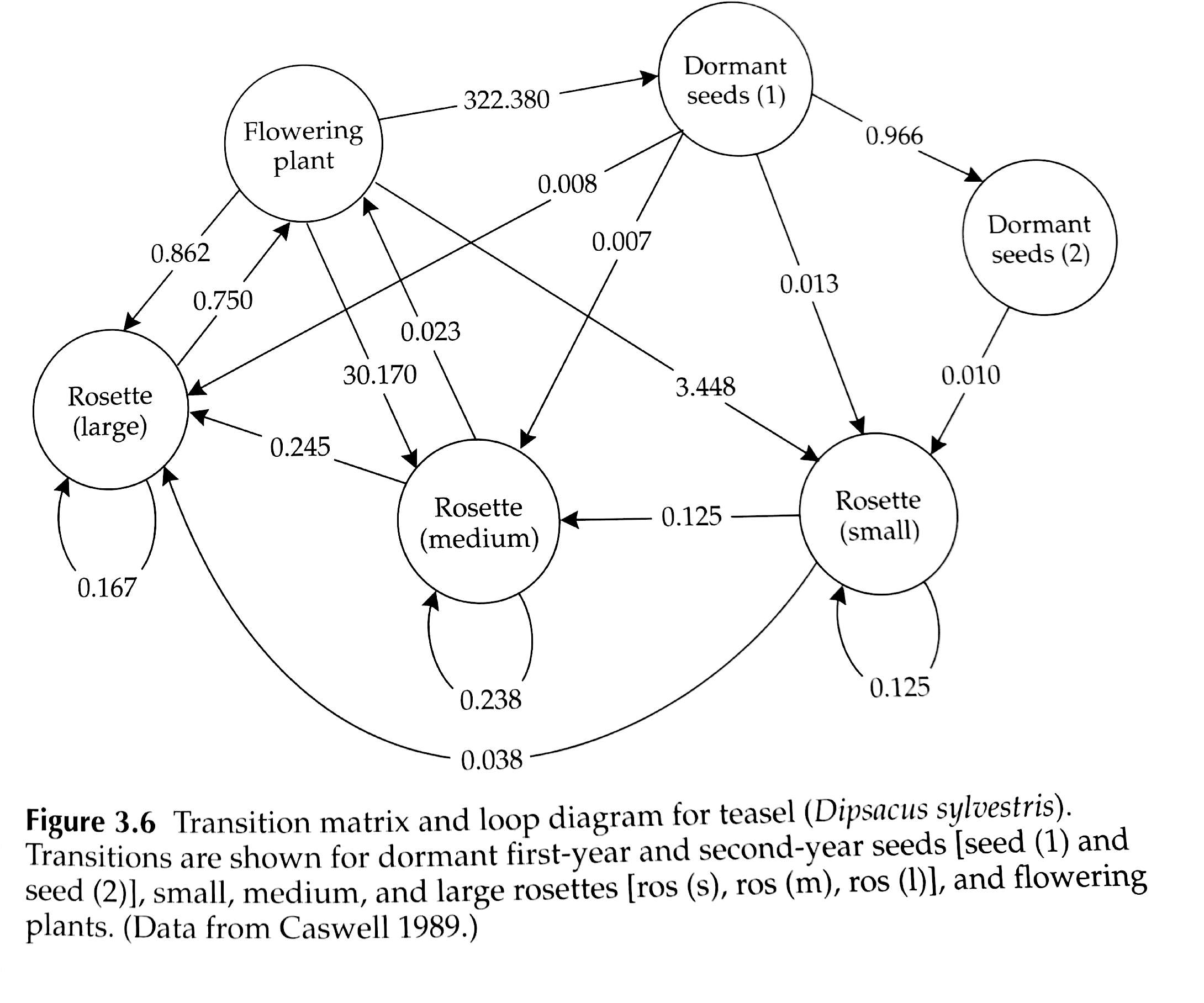 Matrix population models