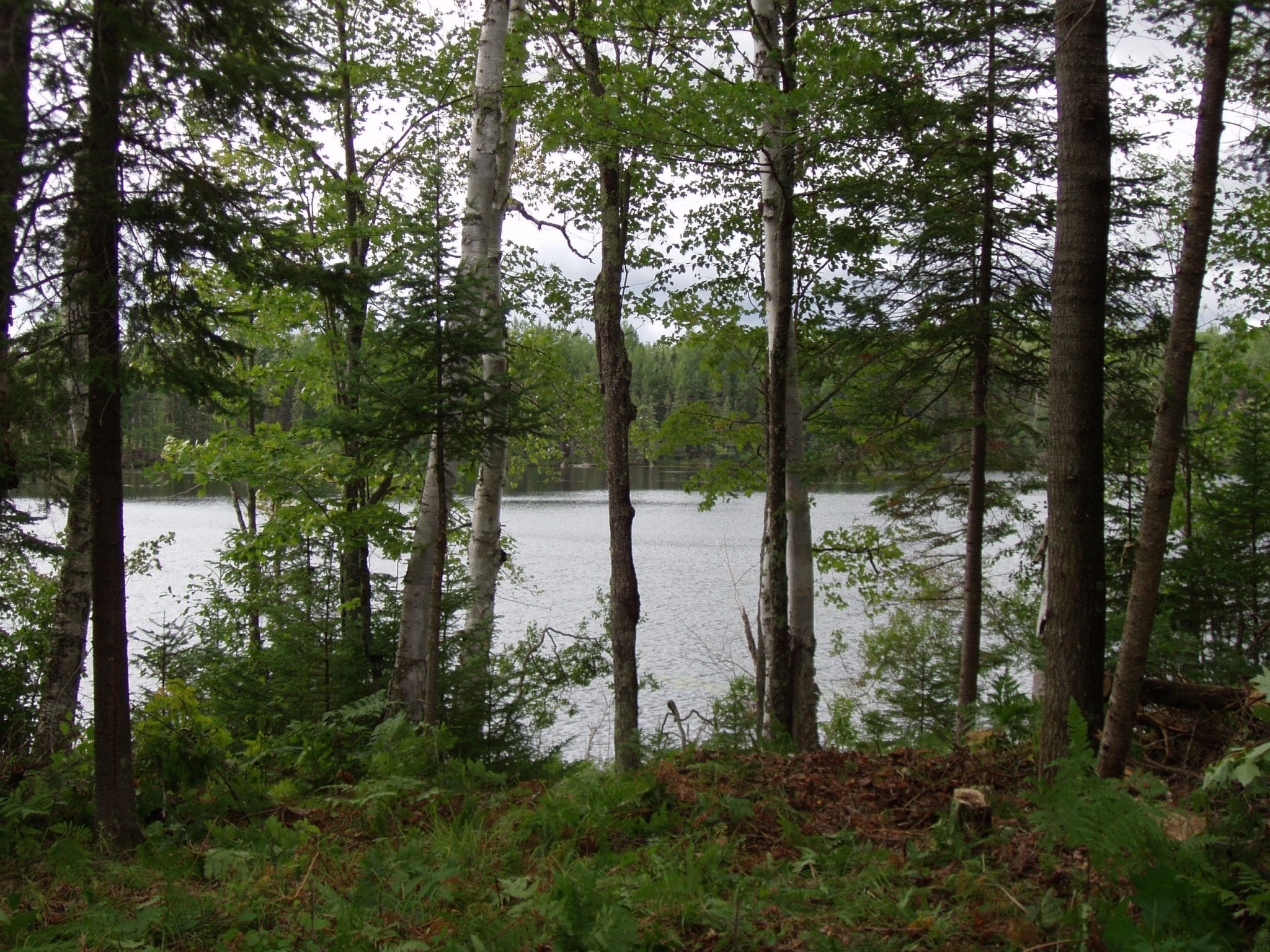 OLYMPUS DIGITAL CAMERA Keweenaw Land Association, Limited