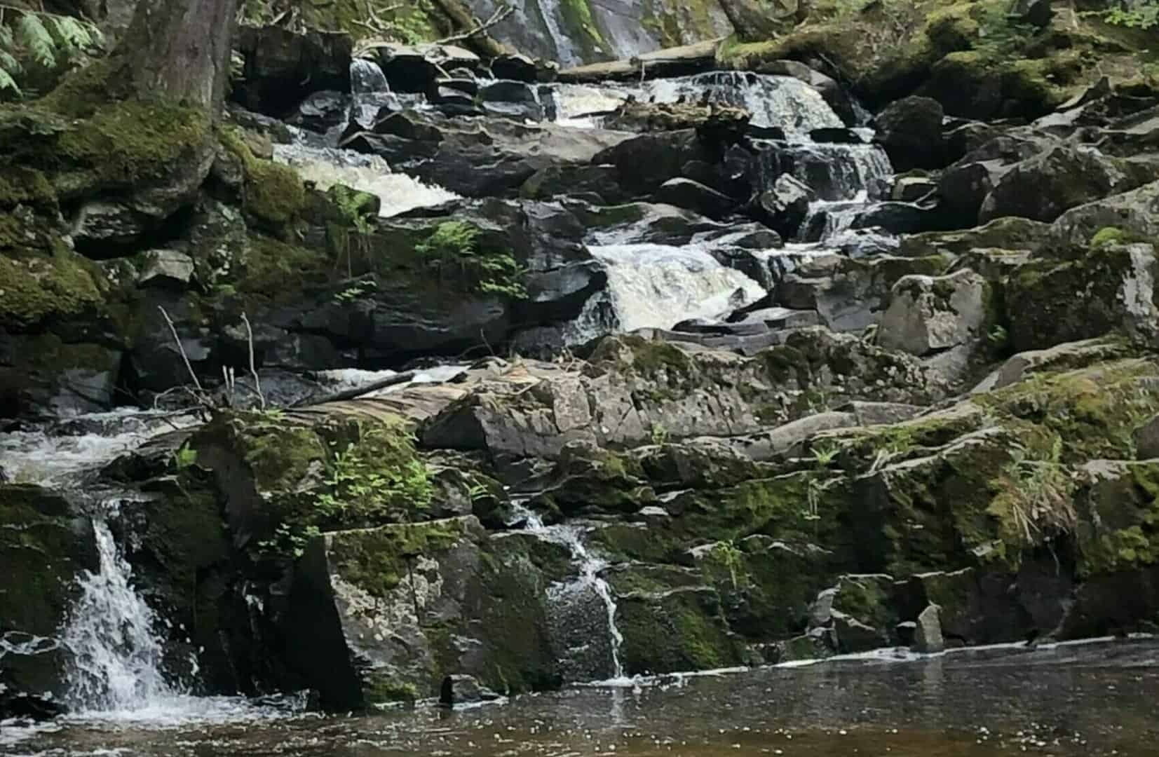 ATV Wilderness Adventure Baraga County