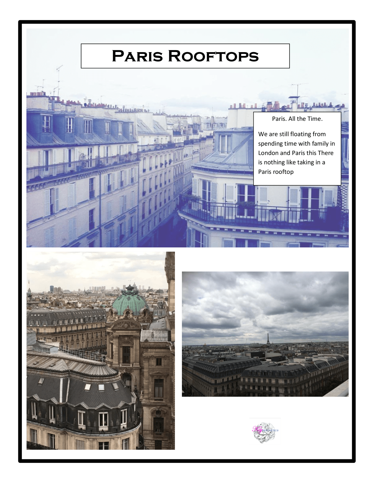 Paris Rooftops KEY AESTHETICS the blog