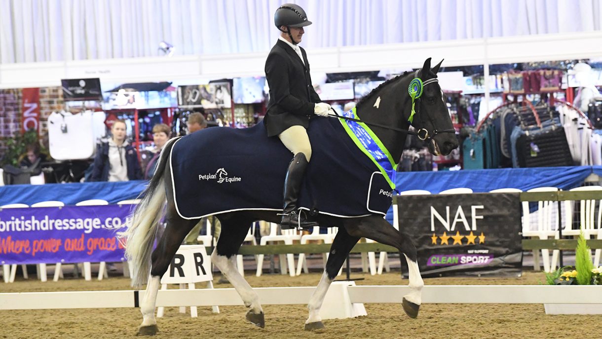 Meet the dancing partbred Trotter who is proving heart can beat