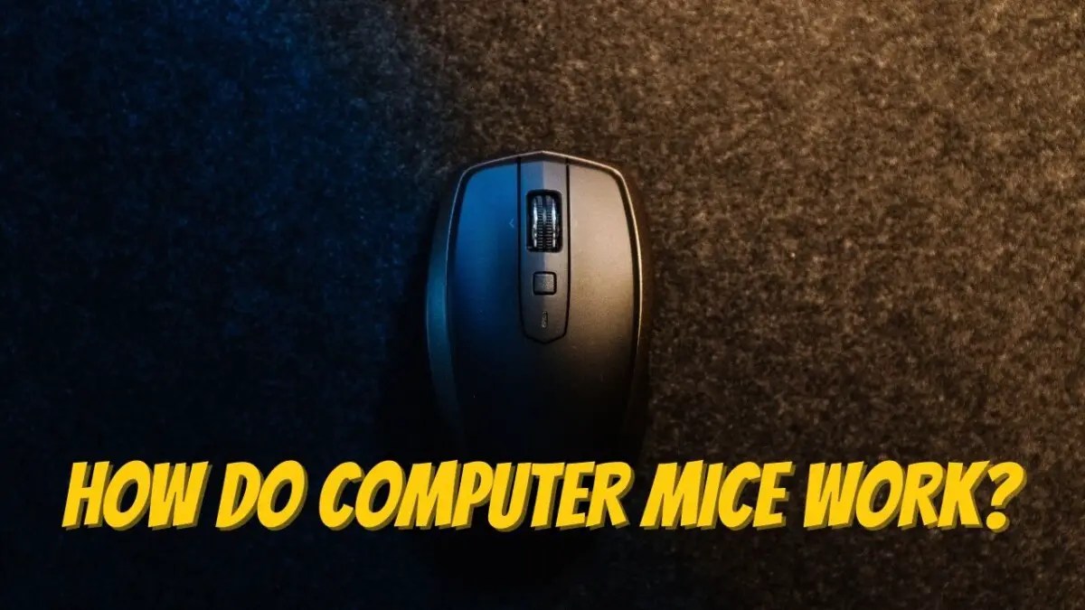 How Do Computer Mice Work? July 24, 2024 Keyboard Kings