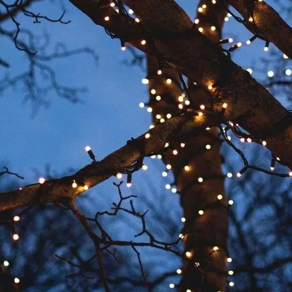 Outdoor Lighting Store Case Study