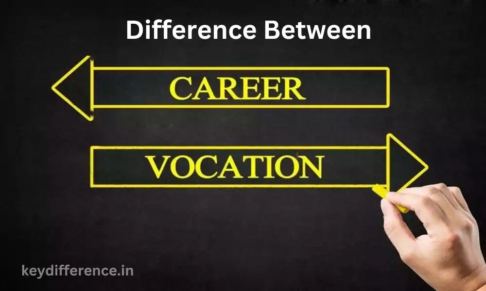 Best 5 Difference Between Vocation and Career Key Difference