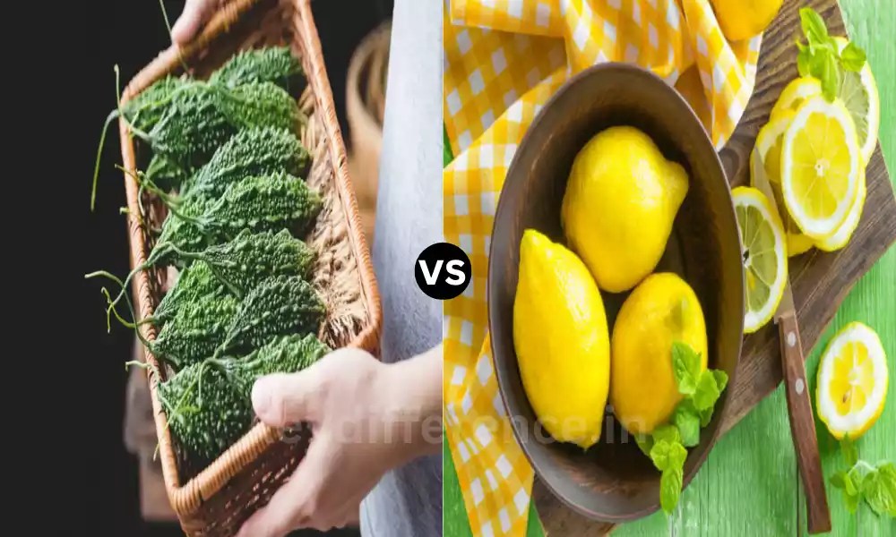 Difference Between Bitter vs Sour