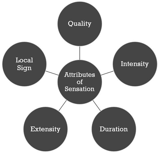 🎉 Sensation and perception examples. Perception Definition, Meaning
