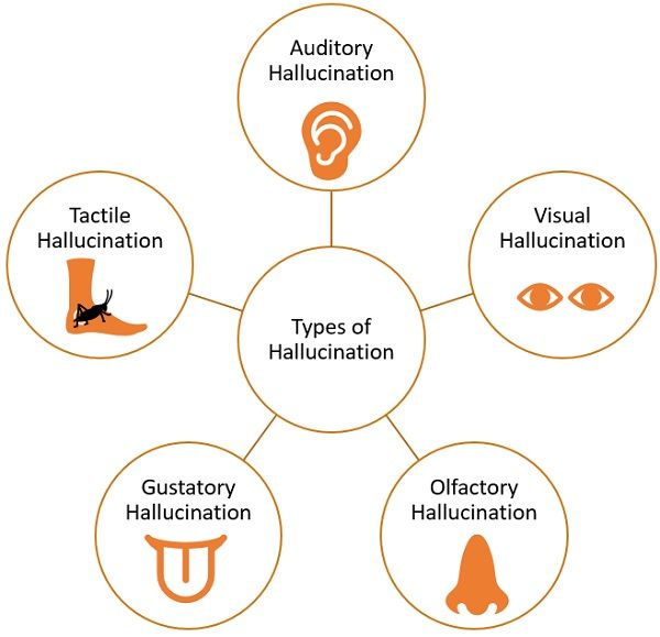 Difference Between Illusion and Hallucination (with Examples, Types and