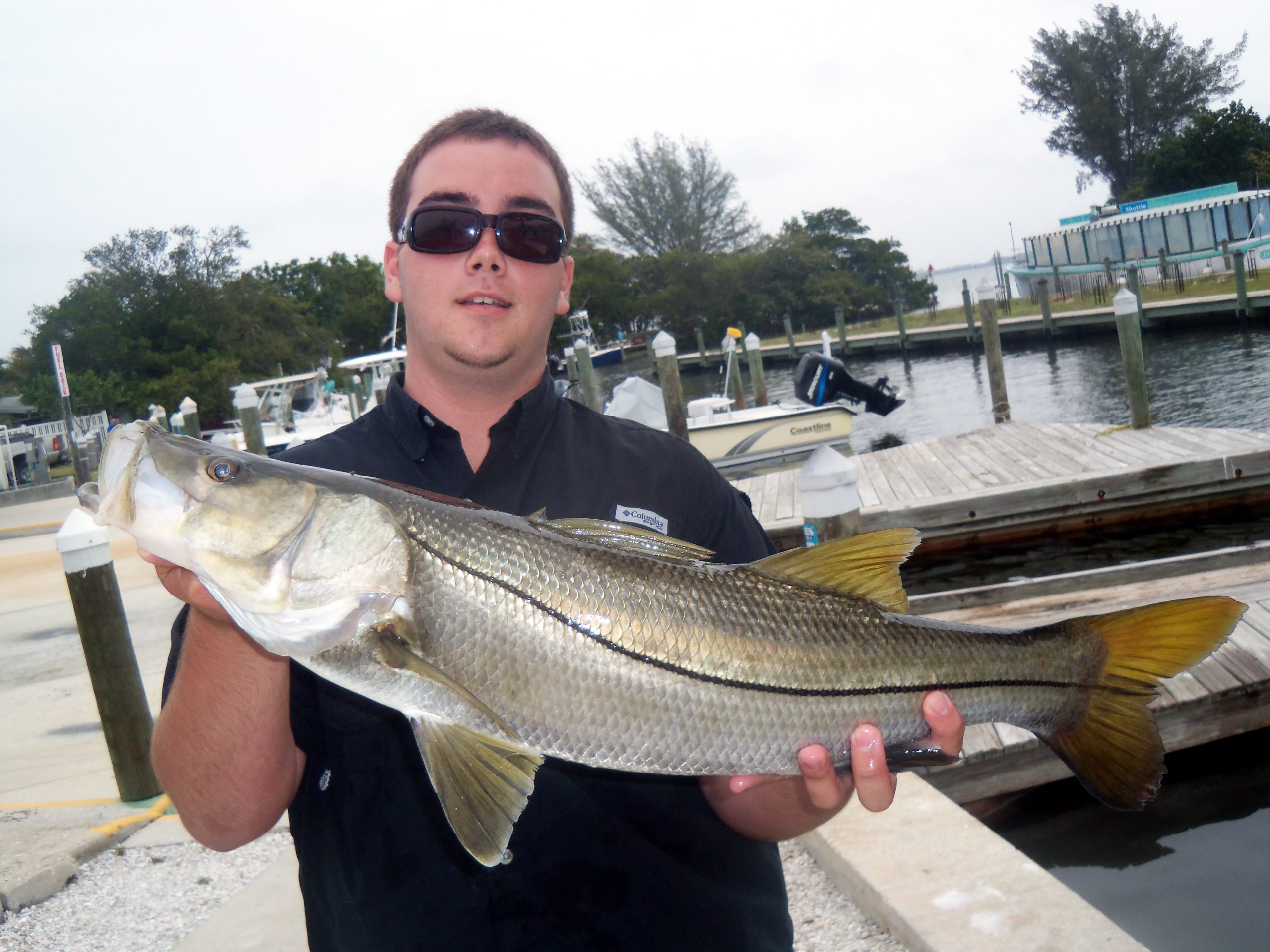 Snook Game Fish Identification