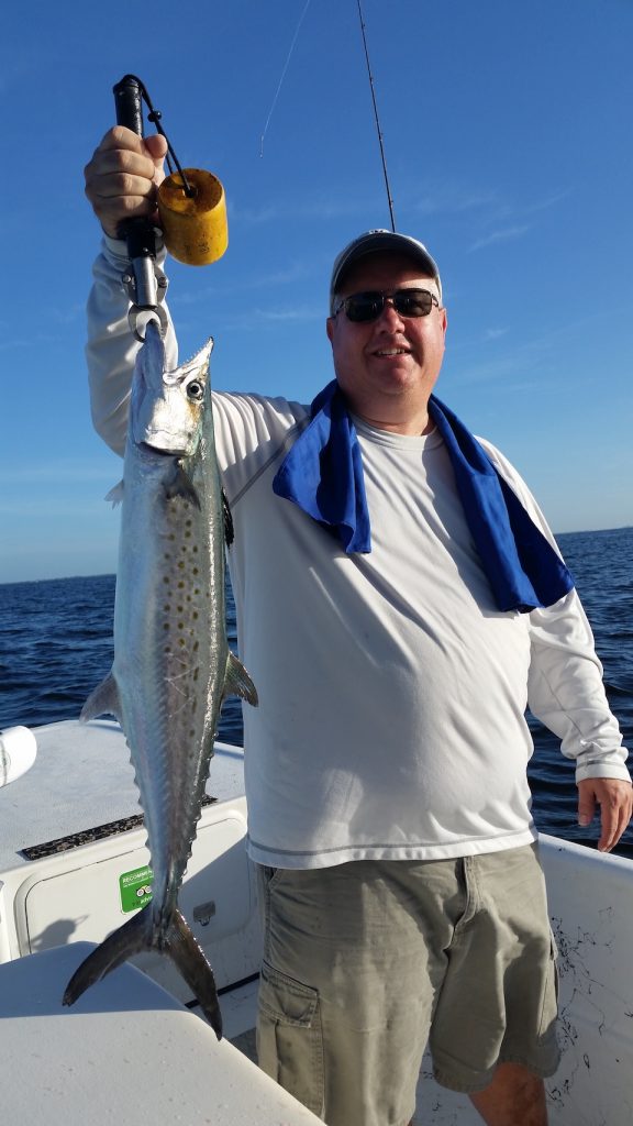 Spanish Mackerel Game Fish Identification