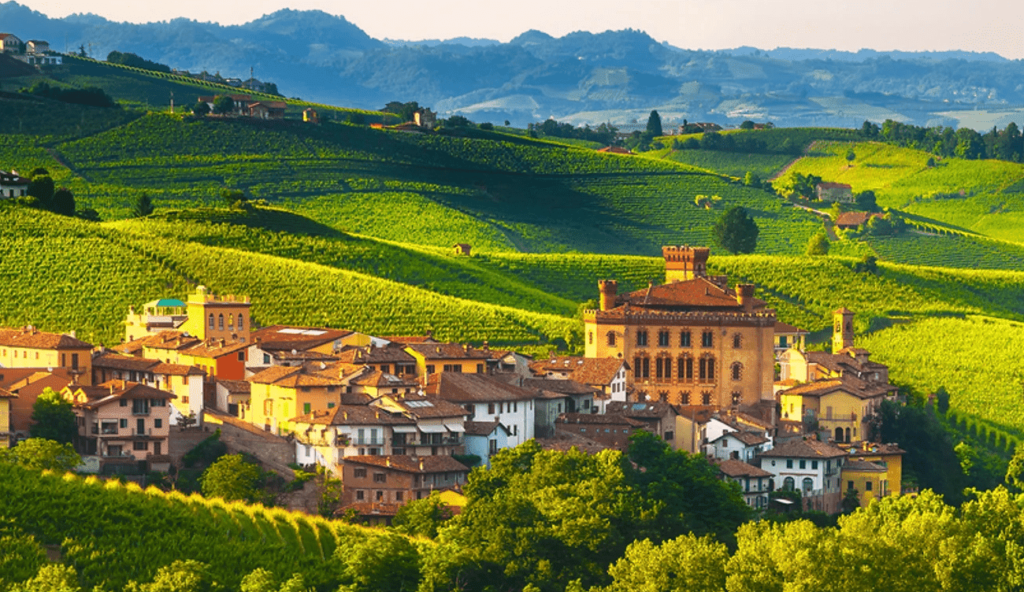 From Turin Truffle hunting + lunch + Barolo wine tasting Keys of Italy