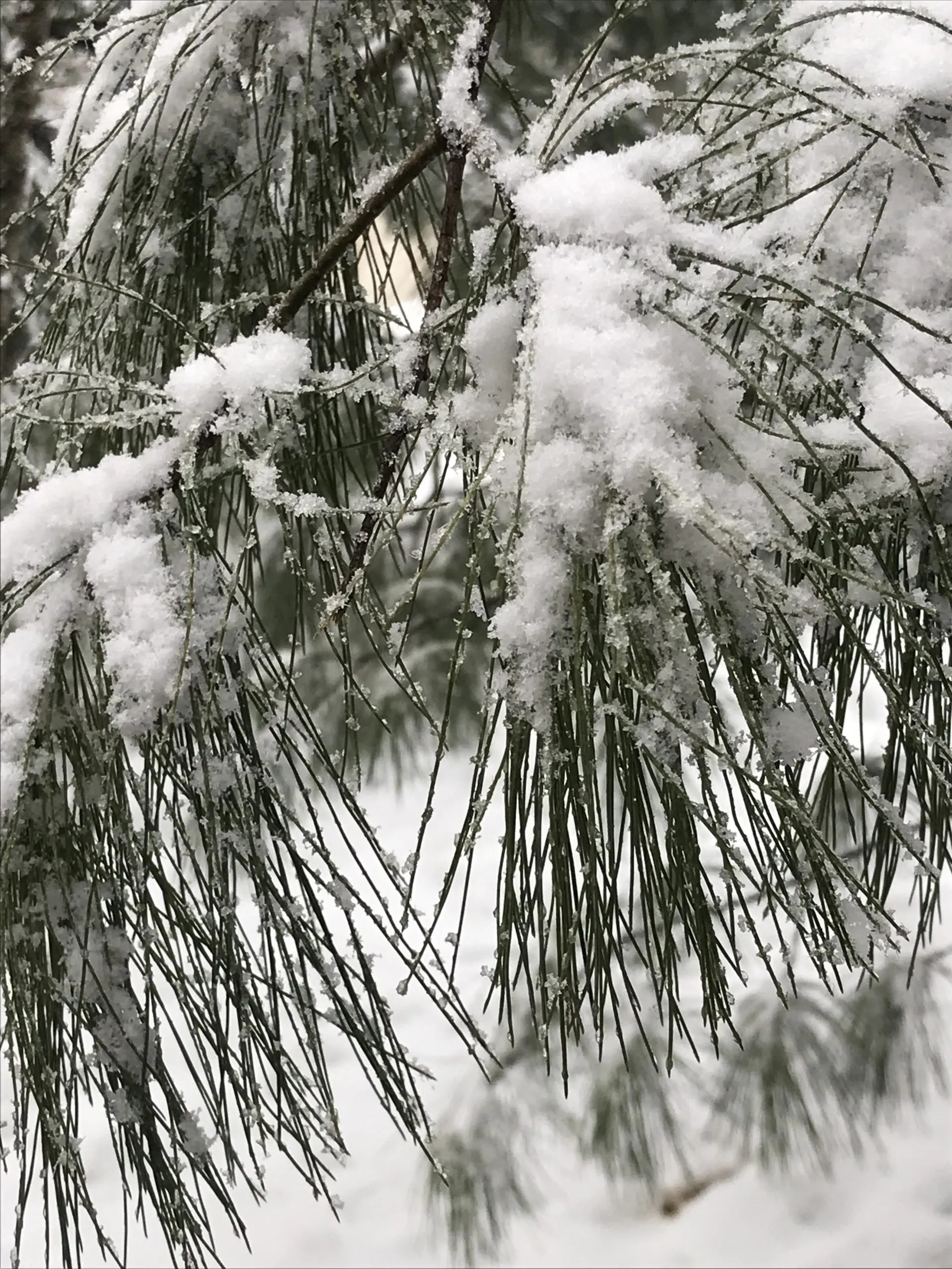 Get organized and stay organized Keys To Living Light