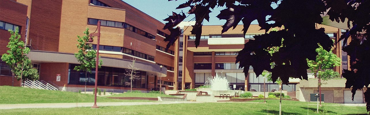 Advanced Diploma in Graphic Design, Sudbury, Canada 2021