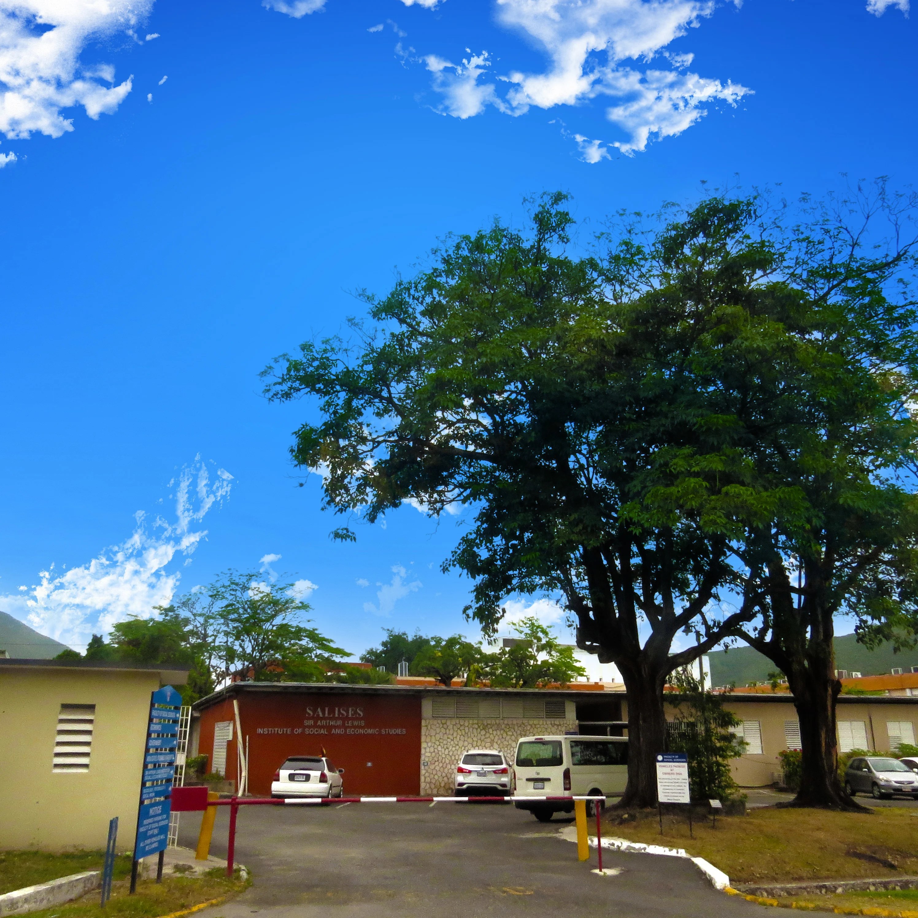 MSc Development Studies Online, Kingston, Jamaica. Online MSc! 2022