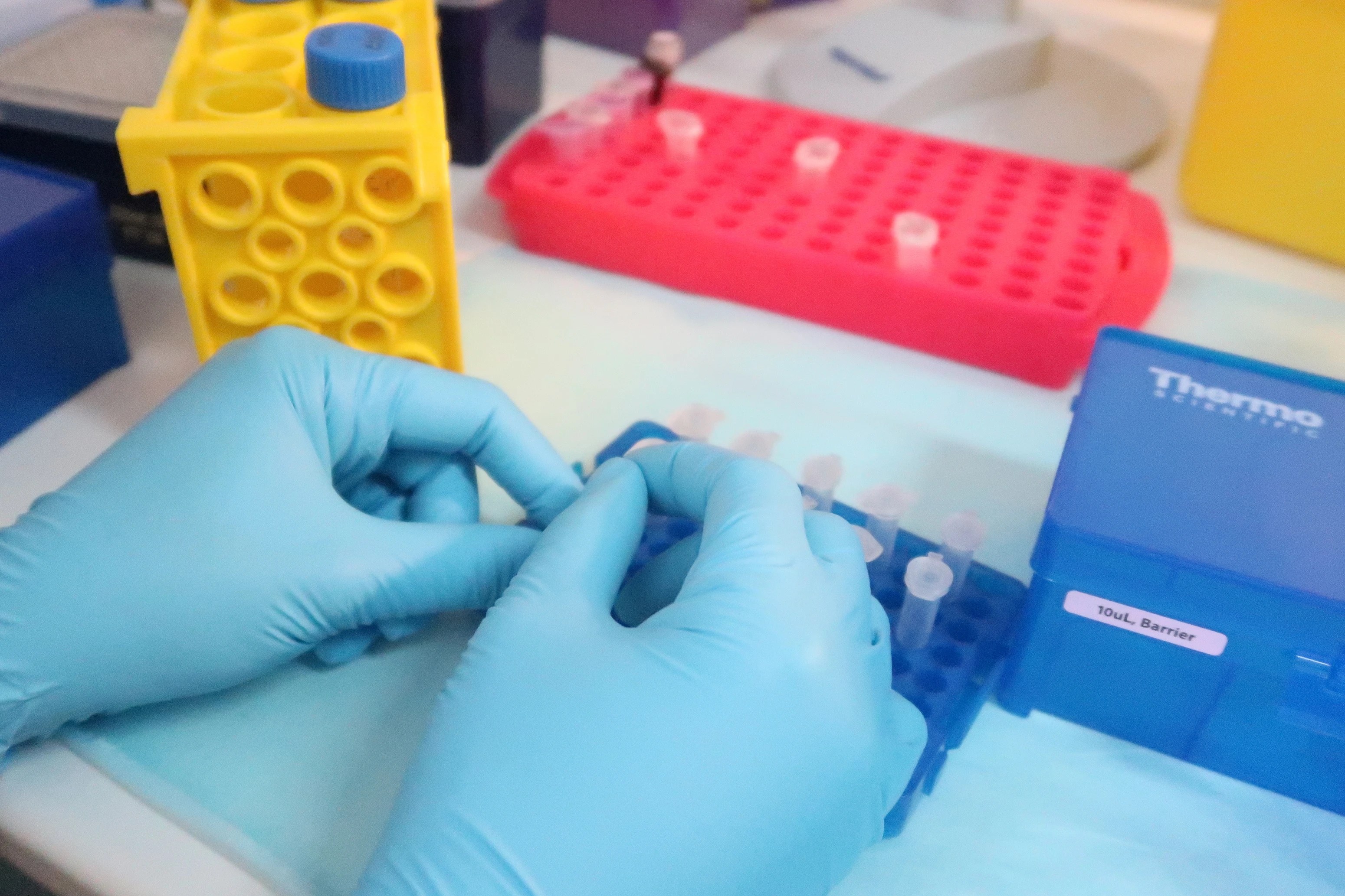 Why Employers Hire Biomedical Sciences Graduates