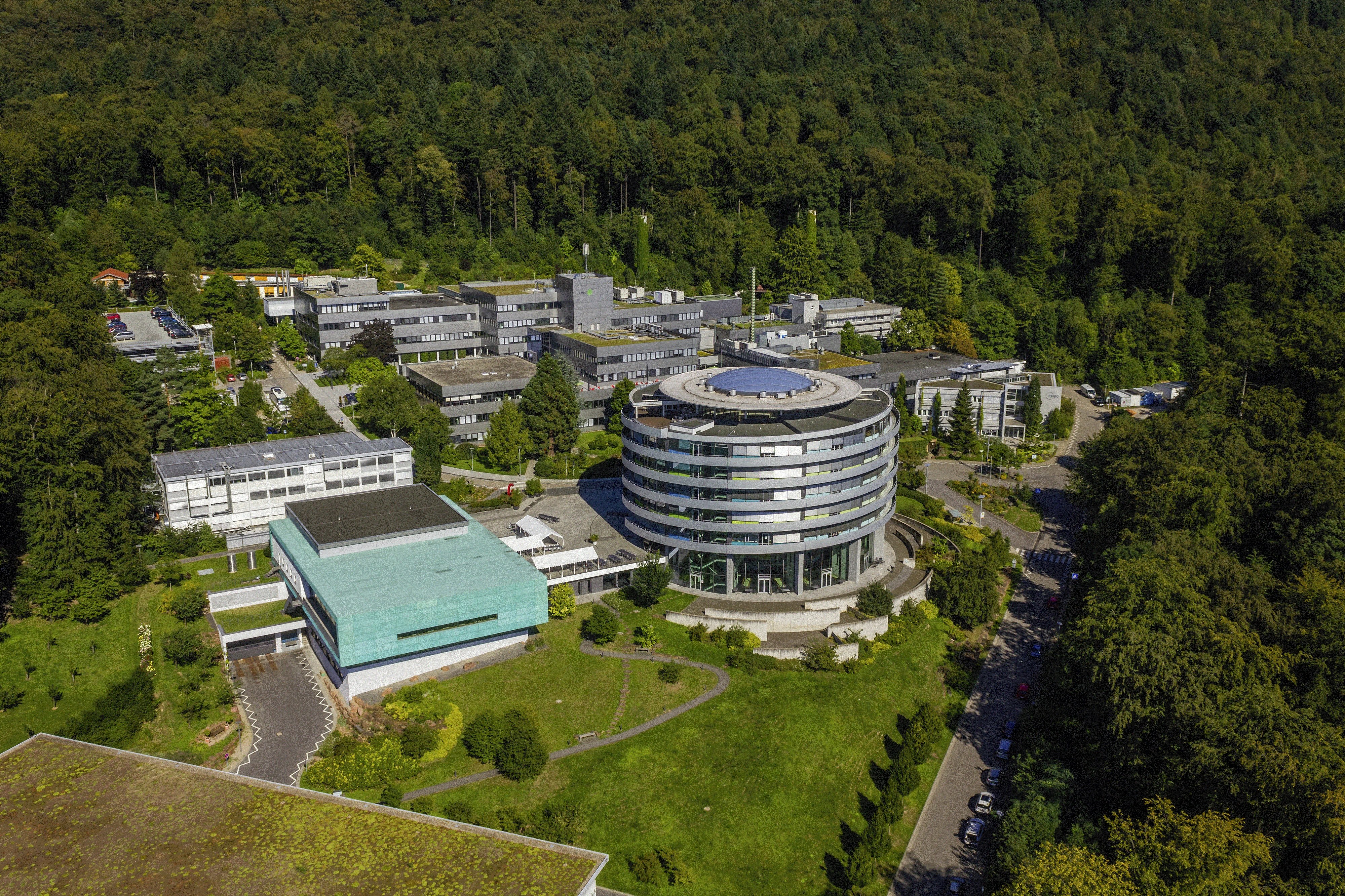 European Molecular Biology Laboratory in Germany PhD