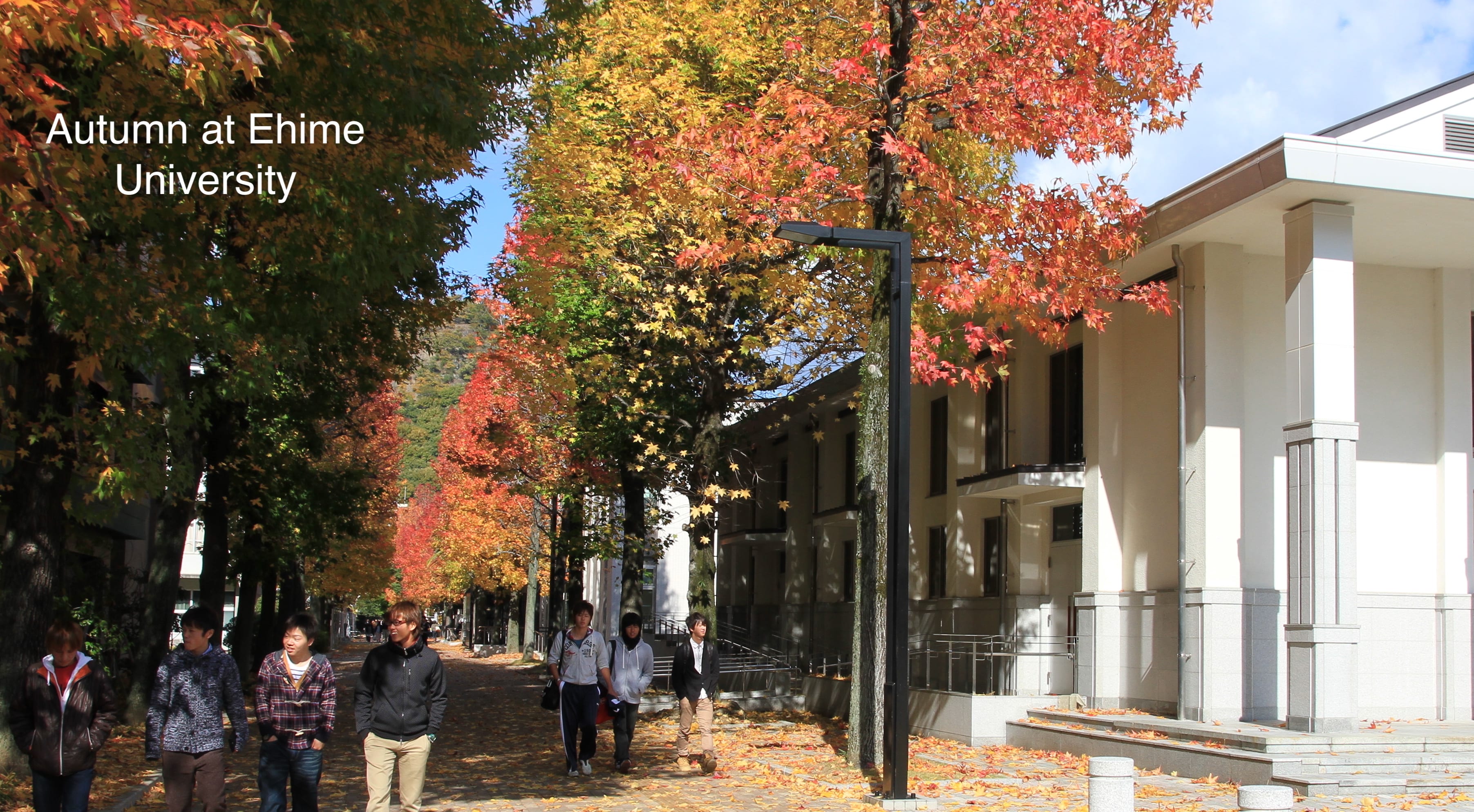 Ehime University in Japan Master Degrees