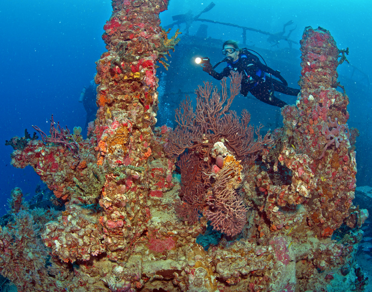We need more artificial reefs now Vandenberg 11 years of marine life