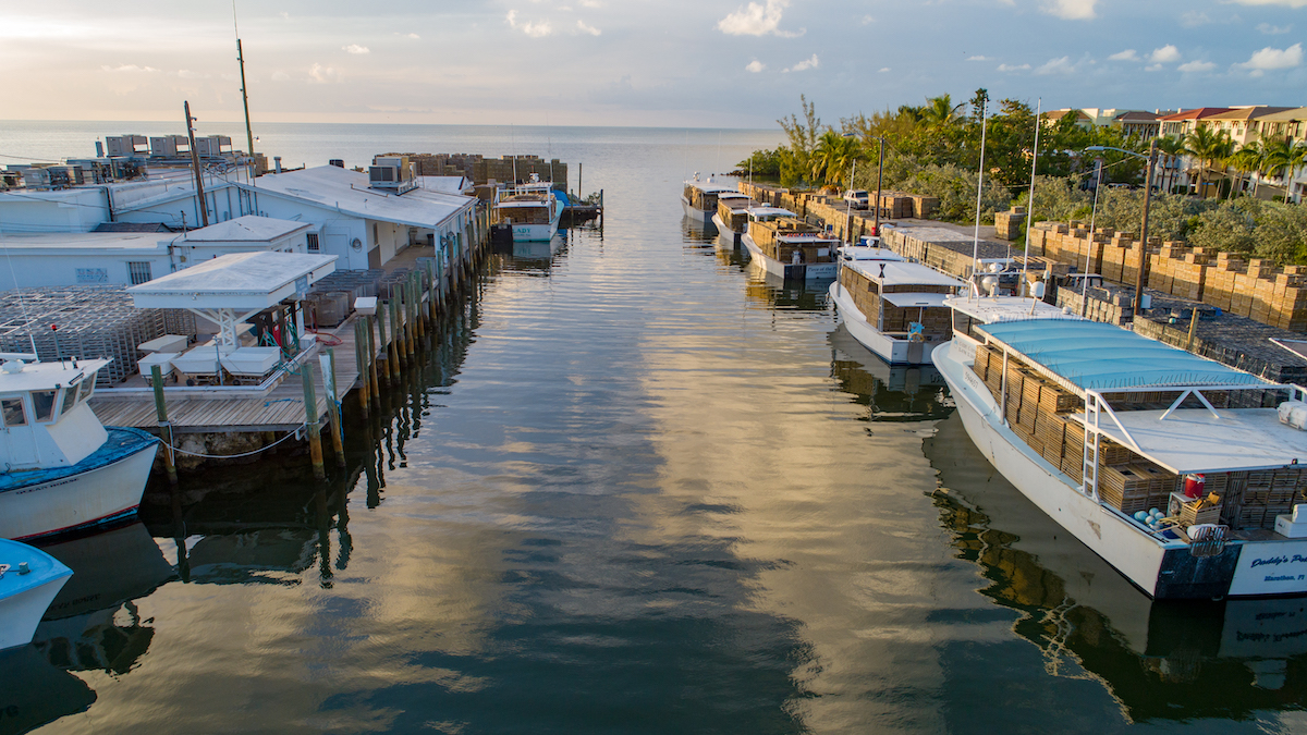 A LOOK INSIDE THE FISH HOUSE