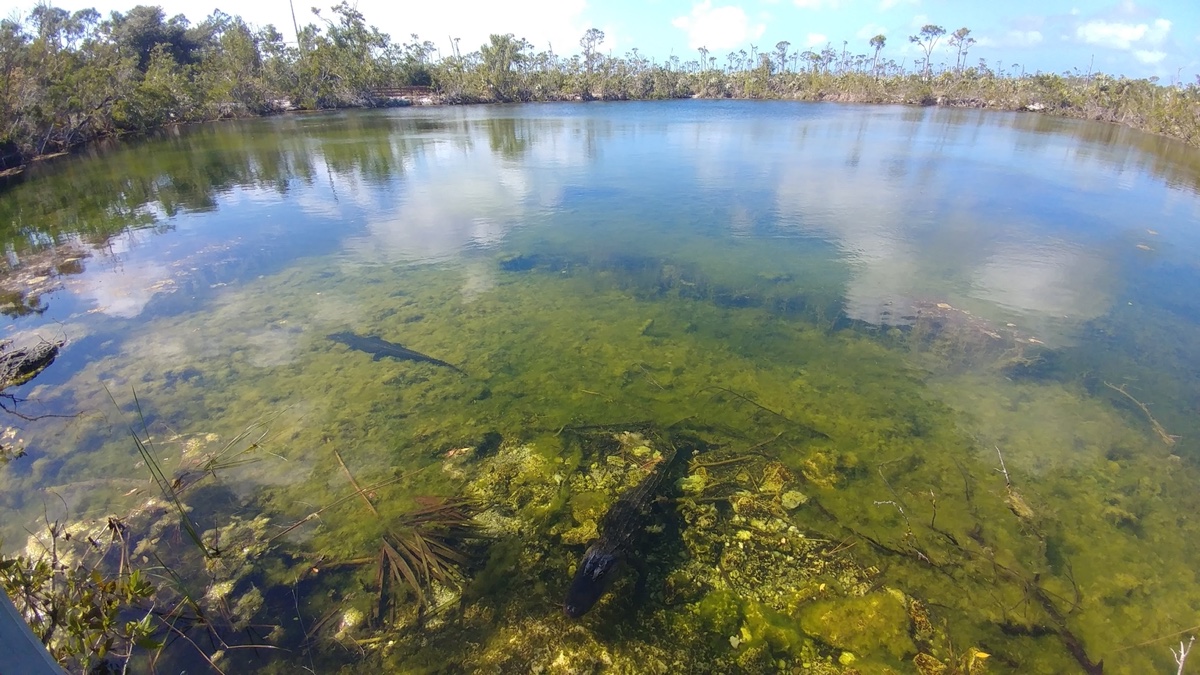VISIT THE BLUE HOLE, BUT FOLLOW THESE 4 RULES
