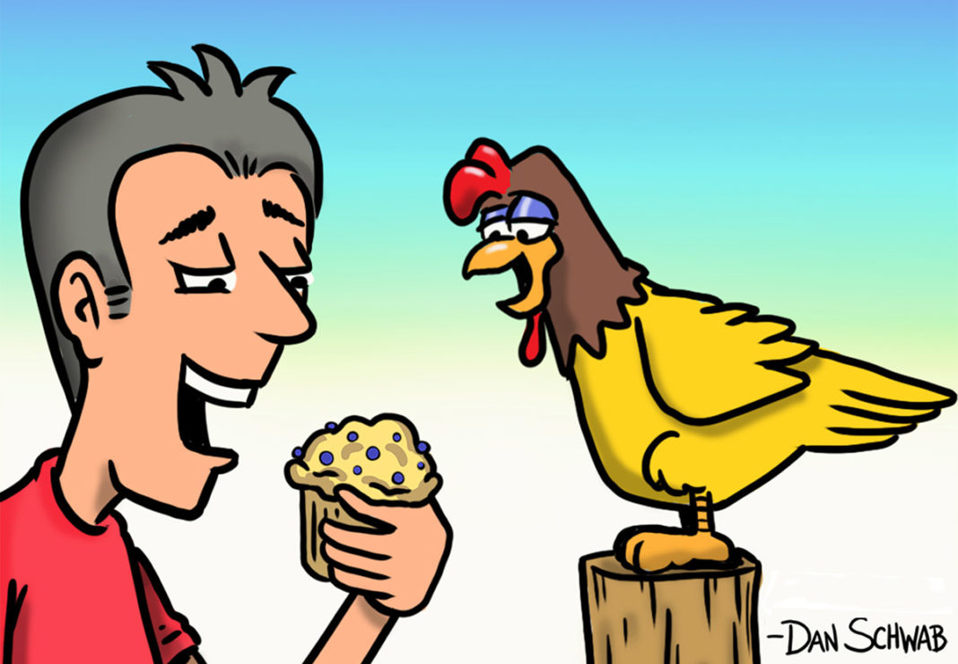 KEY WEST MAKES IT ILLEGAL TO FEED ROAMING CHICKENS