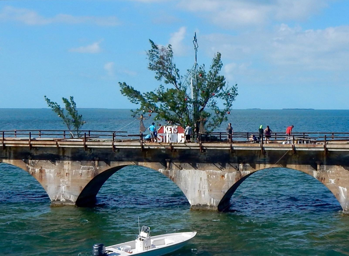 Fred Key [Profiles] • Instagram, Twitter, TikTok Foller