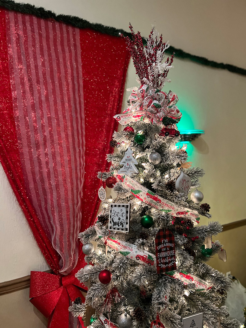 IN PICTURES ZONTA FESTIVAL OF TREES SHOWCASES DECORATORS’ CREATIVITY