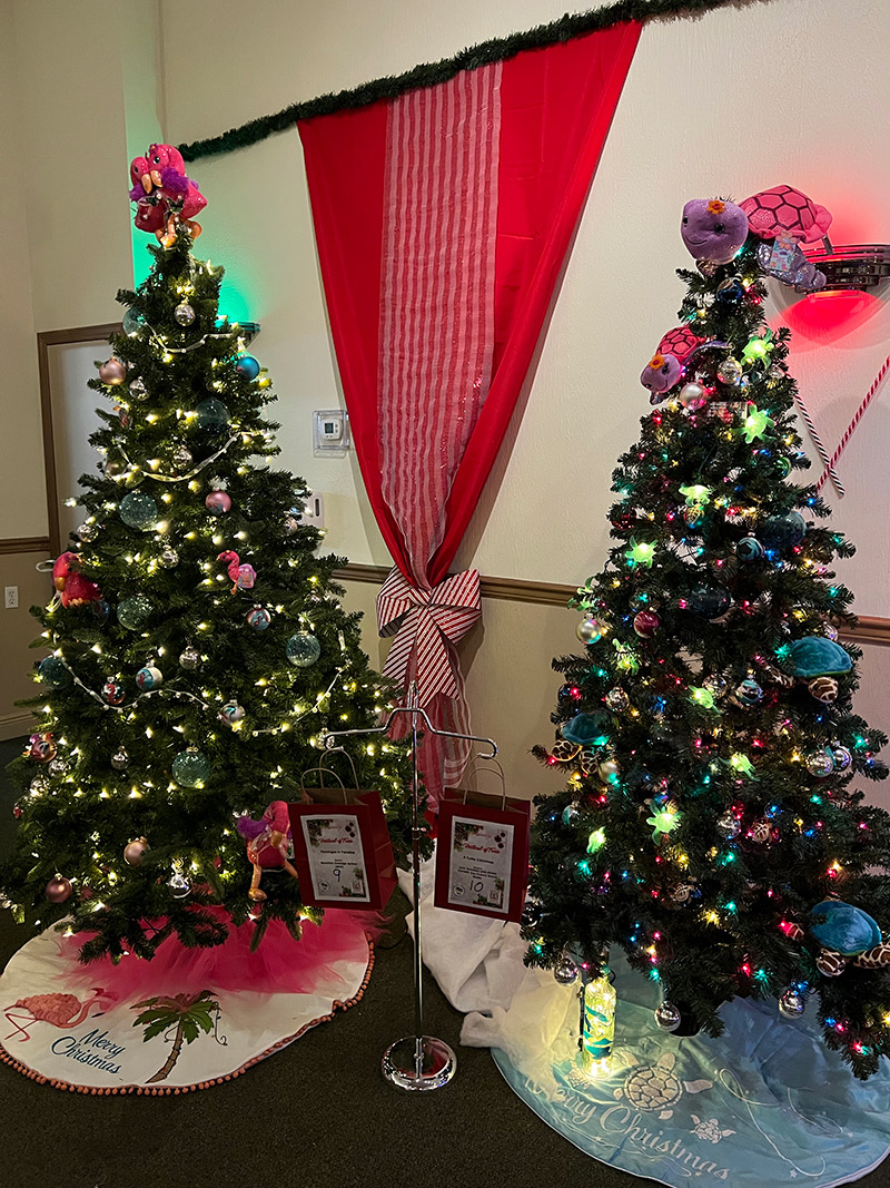 IN PICTURES ZONTA FESTIVAL OF TREES SHOWCASES DECORATORS’ CREATIVITY