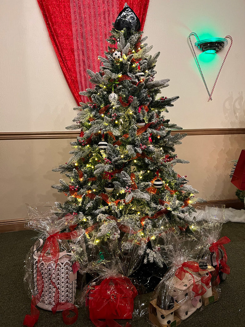IN PICTURES ZONTA FESTIVAL OF TREES SHOWCASES DECORATORS’ CREATIVITY