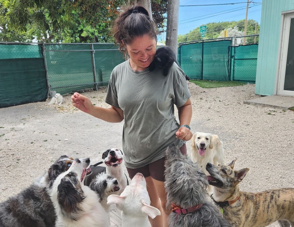 KEY LARGO’S NEW ZOOMIES PET VILLAS OFFERS BOARDING & TRAINING