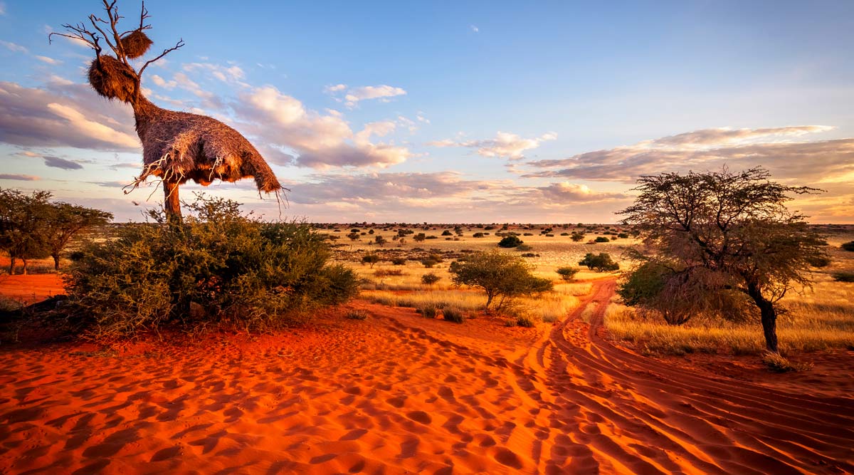 Kalahari Desert Adventure Tour Details & Itinerary Keytours Vacations