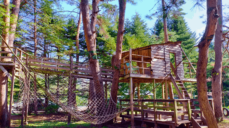 豊かな自然の中で体を動かそう！ 軽井沢フェローシップバイブルキャンプ