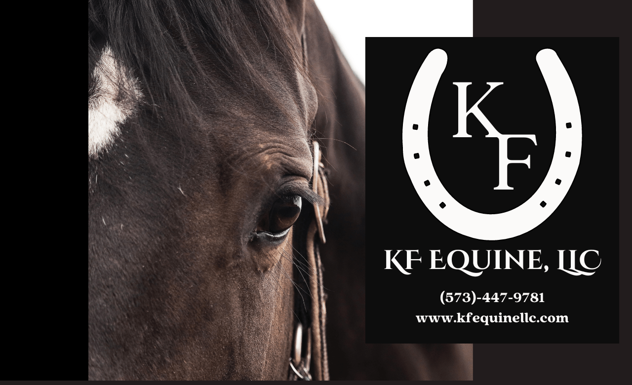 KF Equine, LLC Helping Equine Athletes Achieve Maximum Performance