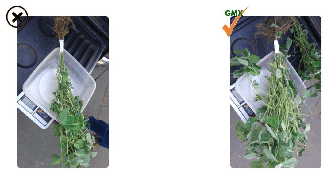 Greenamax Agronamax GMX Technology Kgs Agro Group Advanced