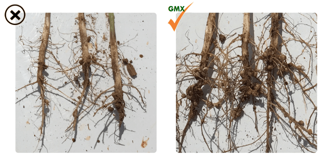 Greenamax Agronamax GMX Technology Kgs Agro Group Advanced