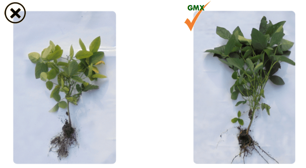 Greenamax Agronamax GMX Technology Kgs Agro Group Advanced