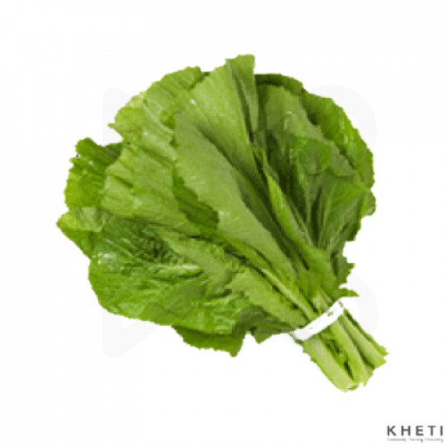 Buy Rayo Saag रायो को साग Per Mutha KhetiFood Fresh, Local