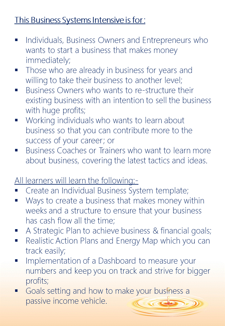 BUSINESS SYSTEMS INTENSIVE (PROGRAM OUTLINE)