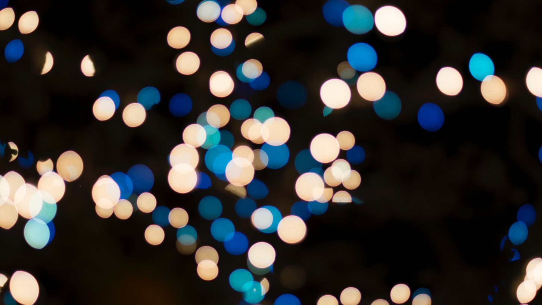 Live ’til Five Christmas Lights Harvest Family Radio