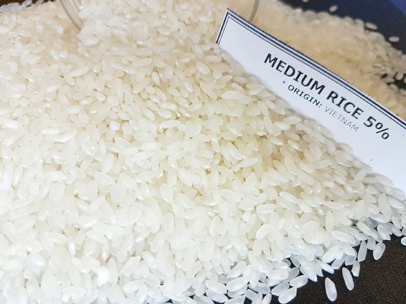 Viet Nam Cheapest medium rice KHOI NGUYEN IMPORT EXPORT KNT GROUP